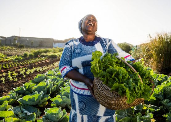 Empowering Growth: Women Leading South Africa’s Agricultural Revolution