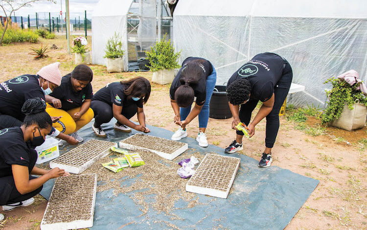 Breaking Ground: Celebrating Successful Women In Farming In South Africa