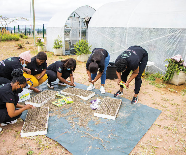 Breaking Ground: Celebrating Successful Women In Farming In South Africa